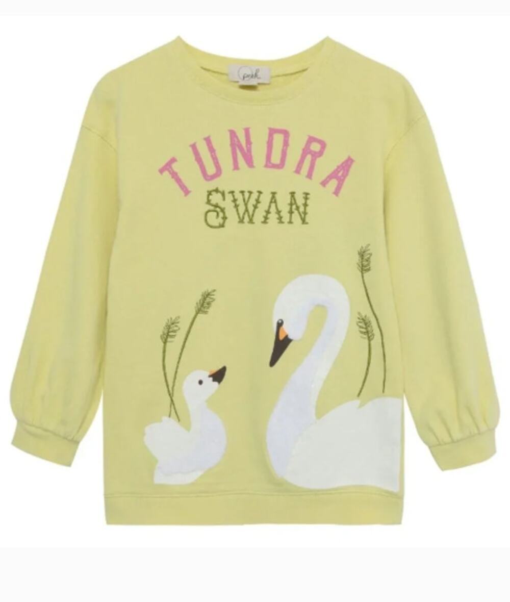 NEW!! Peek Tundra Swan Sweatshirt X The Nature Conservancy in LIME (6/7)